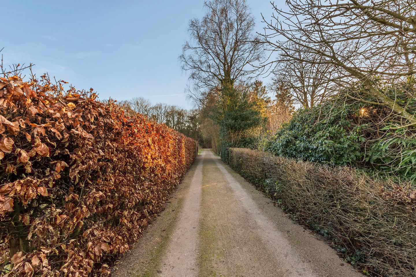 Photo 74 of Hulhorstweg 55