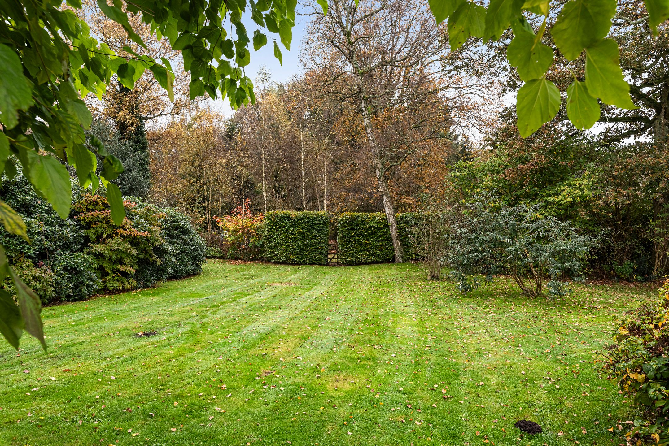 Photo 69 of Hulhorstweg 55