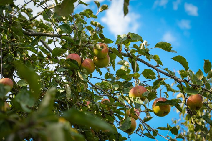 Foto 2 van Bredestraat 6