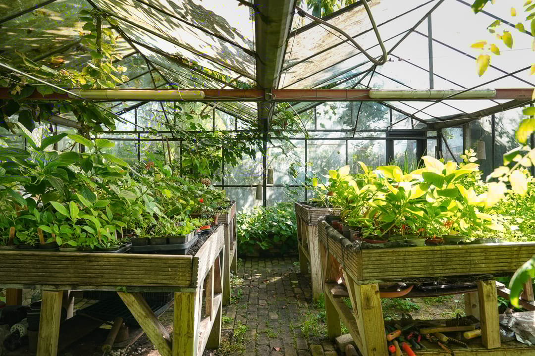 Foto 37 van Bredestraat 6