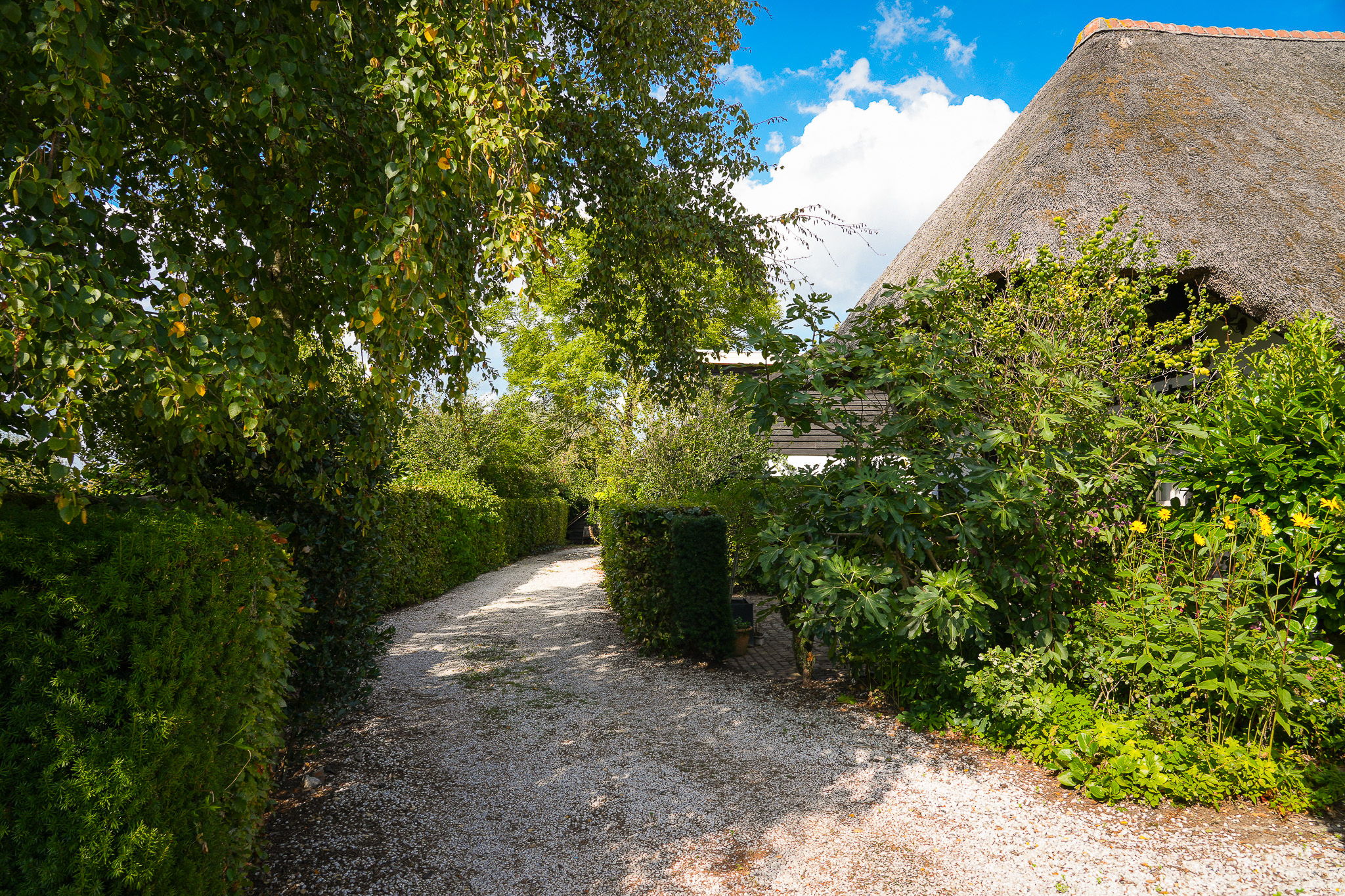 Foto 39 van Bredestraat 6