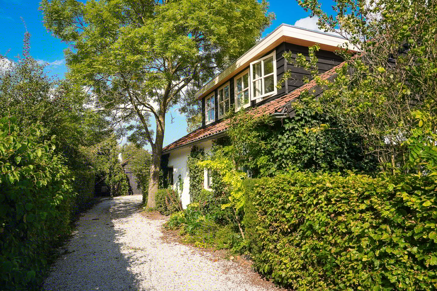 Foto 40 van Bredestraat 6