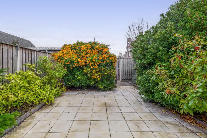 Photo 2 of Reiger 26