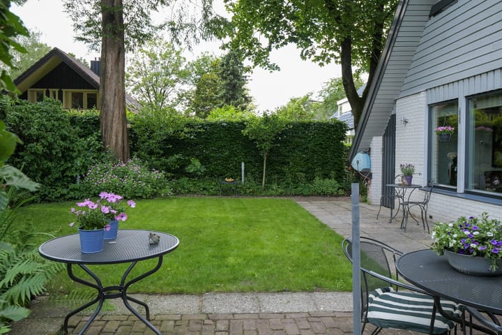 Foto 33 van Libel 10