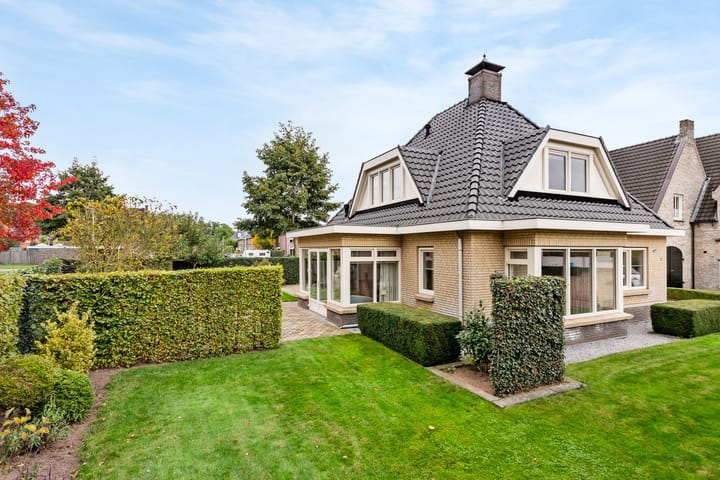 Foto 6 van Geelgors 1