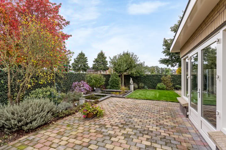 Foto 21 van Geelgors 1