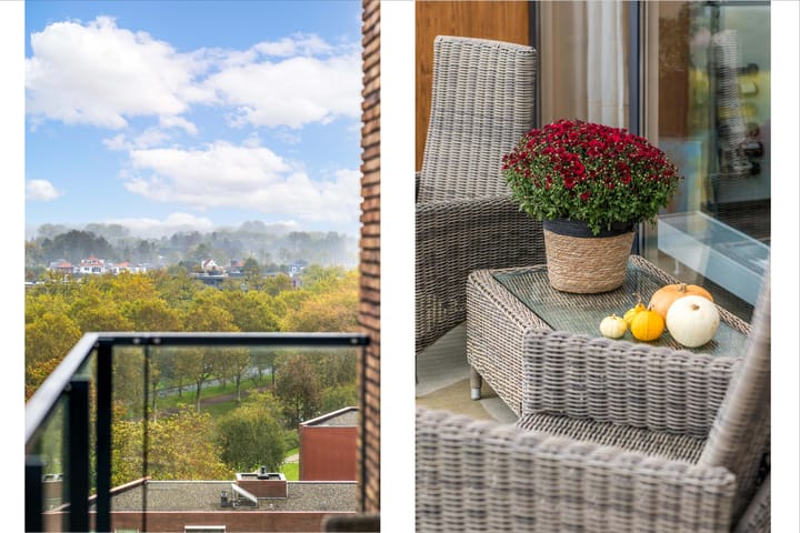 Foto 16 van Jupiterstraat 264