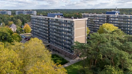 Goudvinklaan thumbnail