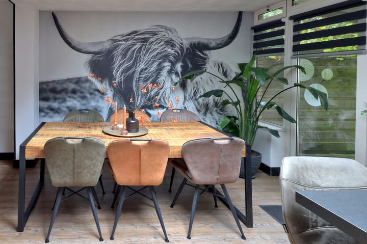 Photo 10 of Noordzoom 16