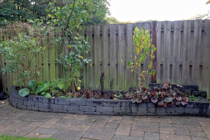 Photo 27 of Noordzoom 16