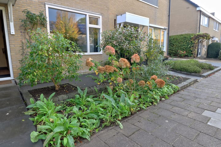 Photo 32 of Noordzoom 16