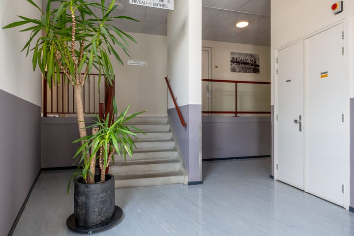 Foto 34 van Koggehoorn 6