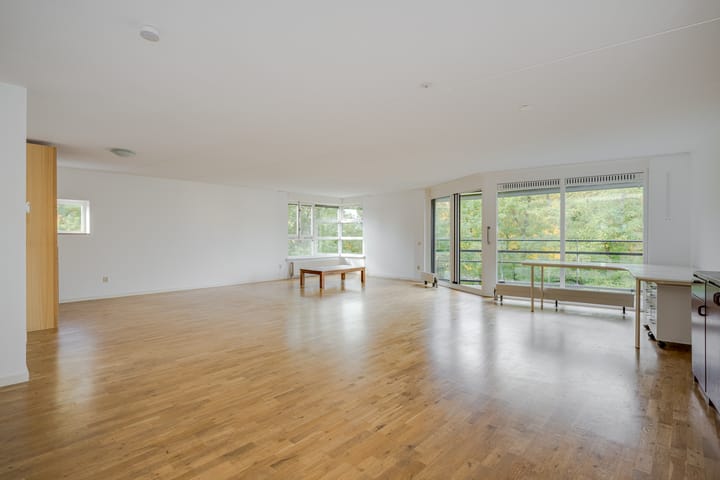 Foto 3 van Professor Boerhaaveweg 9