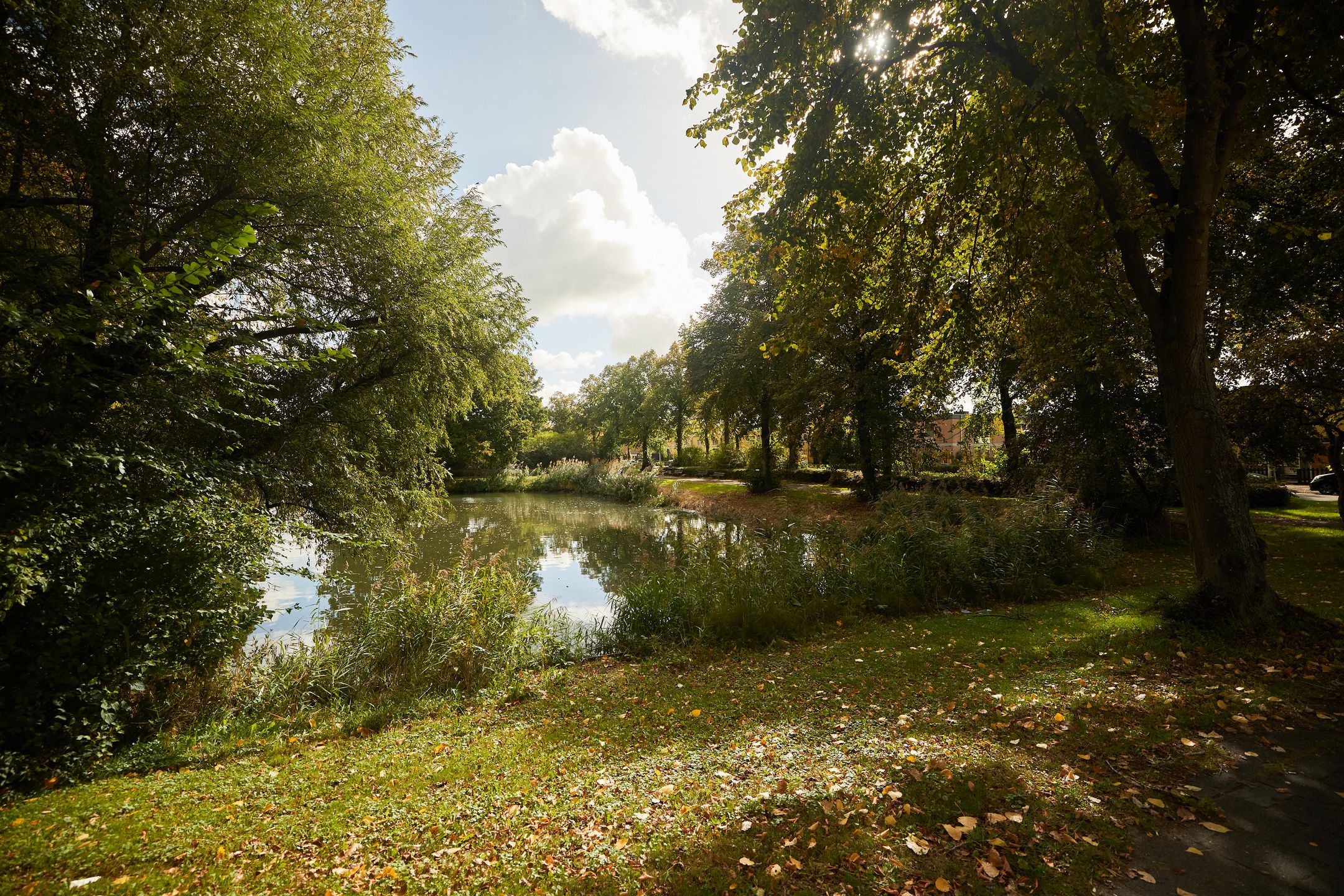 Foto 51 van Liesbosweg 71-BSA