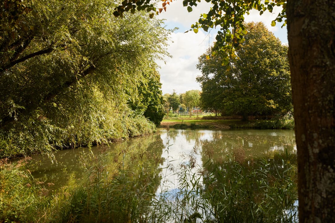 Foto 52 van Liesbosweg 71-BSA