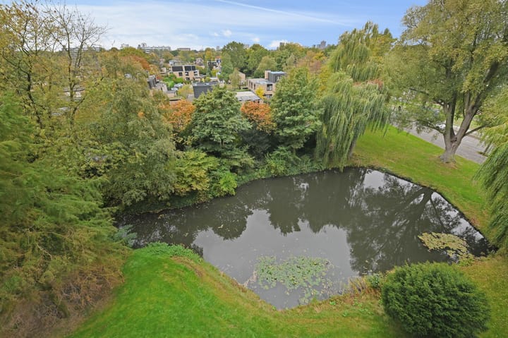 Foto 2 van Tulpentuin 167