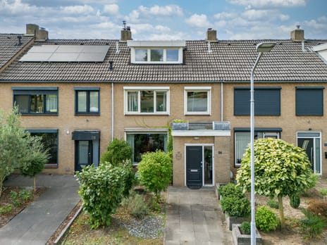 Waterhoenstraat thumbnail