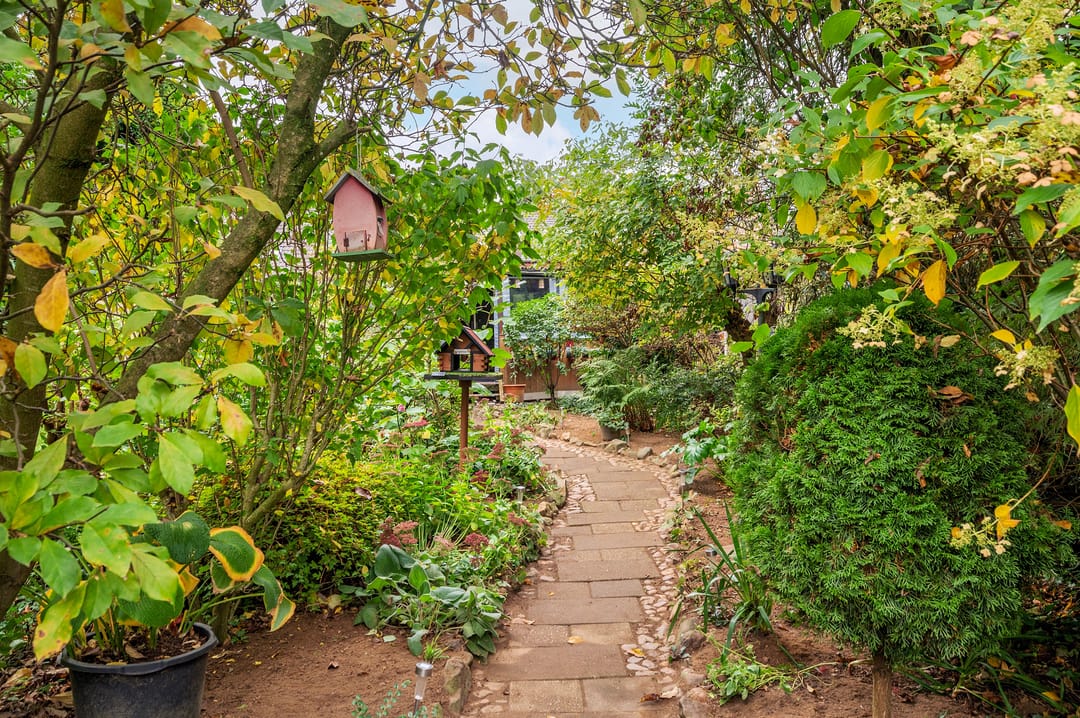 Foto 41 van Rijksweg Noord 19