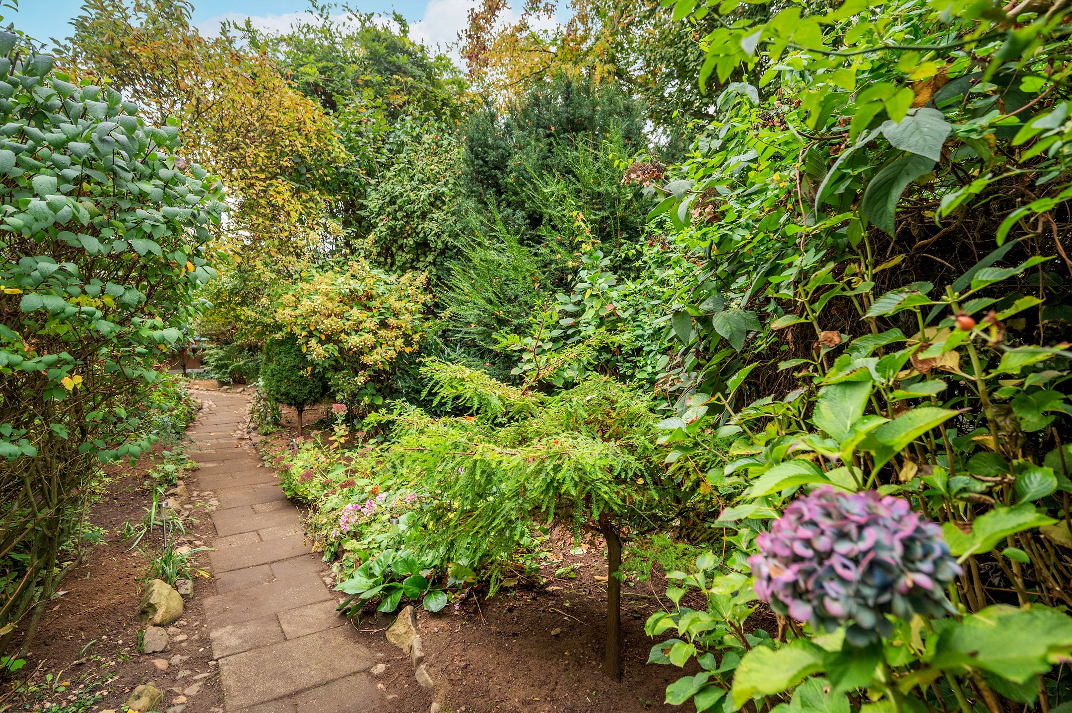 Foto 42 van Rijksweg Noord 19