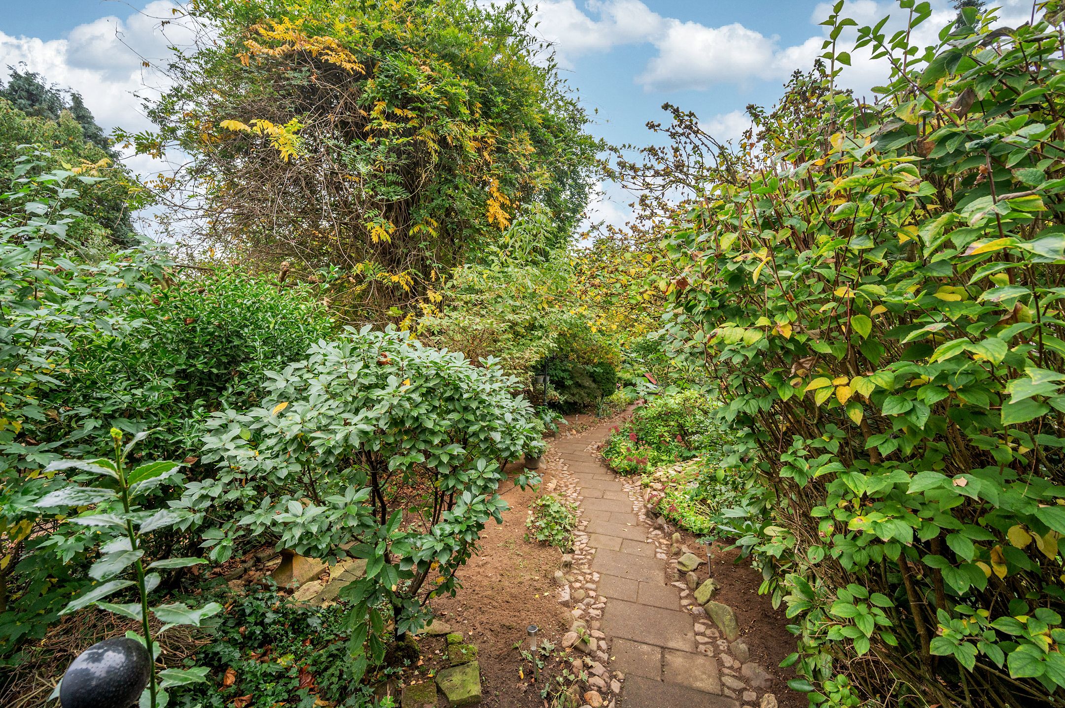 Foto 48 van Rijksweg Noord 19