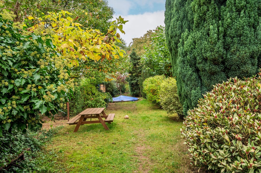 Foto 52 van Rijksweg Noord 19