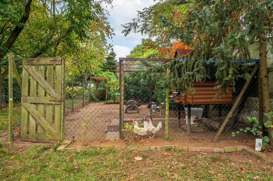 Foto 67 van Rijksweg Noord 19