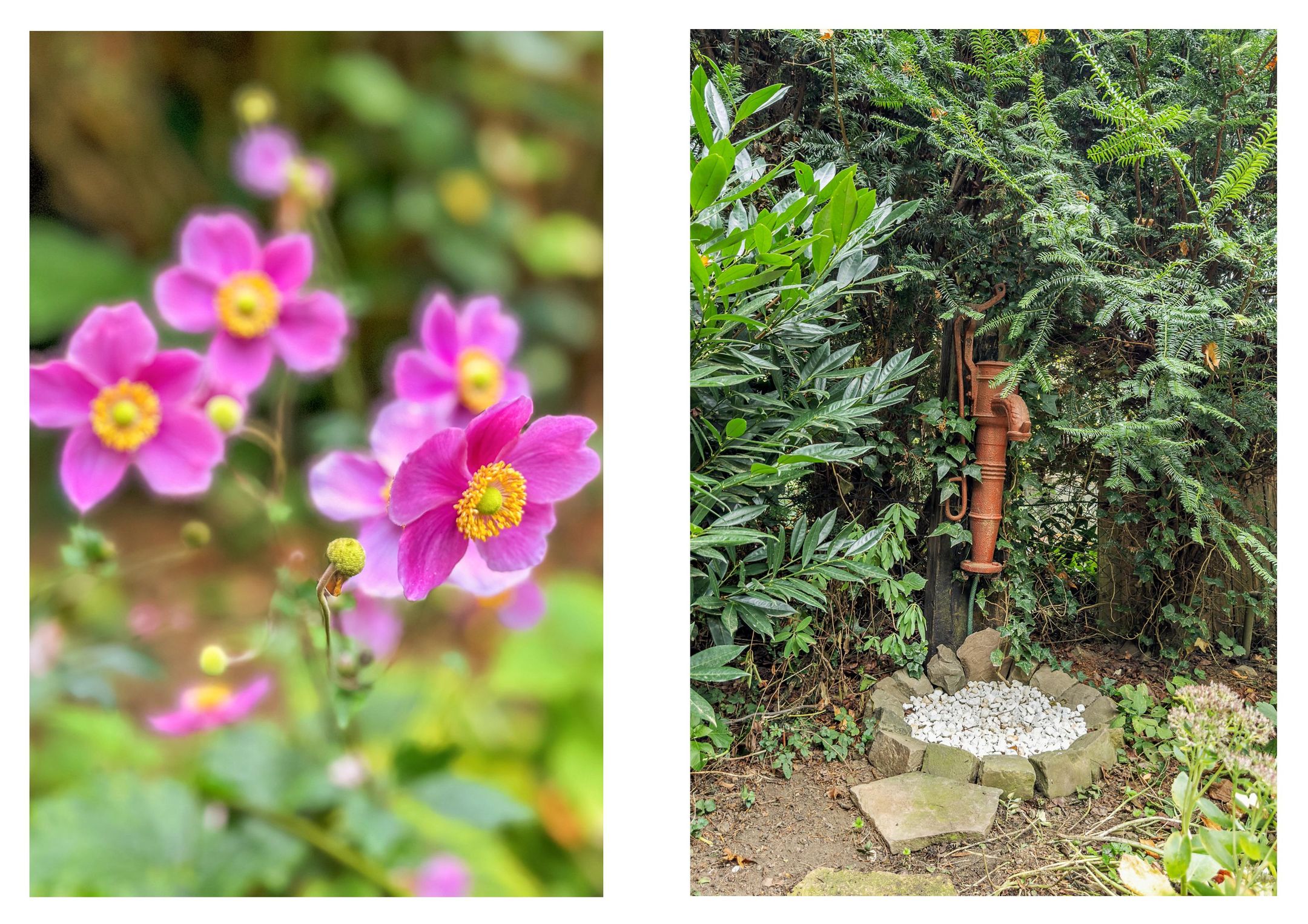 Foto 72 van Rijksweg Noord 19