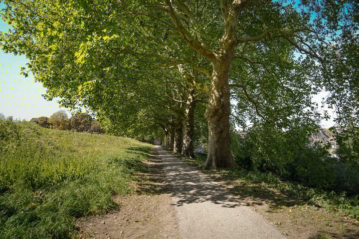 Foto 25 van Affuithof 7