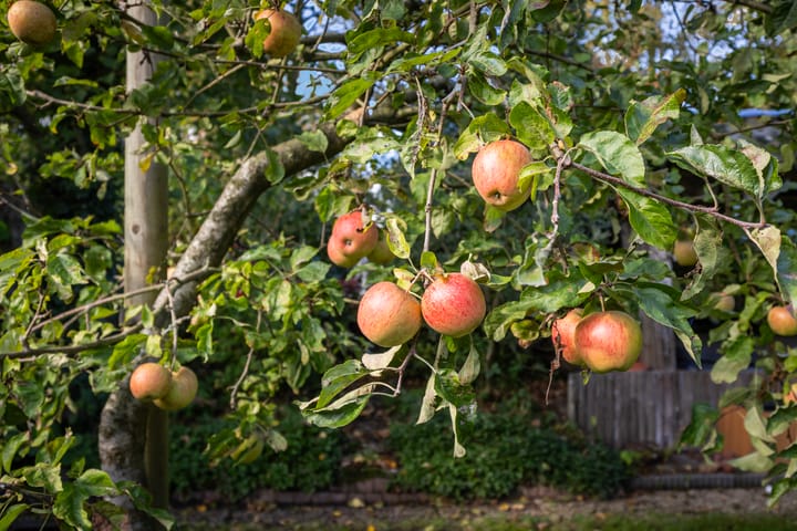 Foto 36 van Trynwâldsterdyk 11