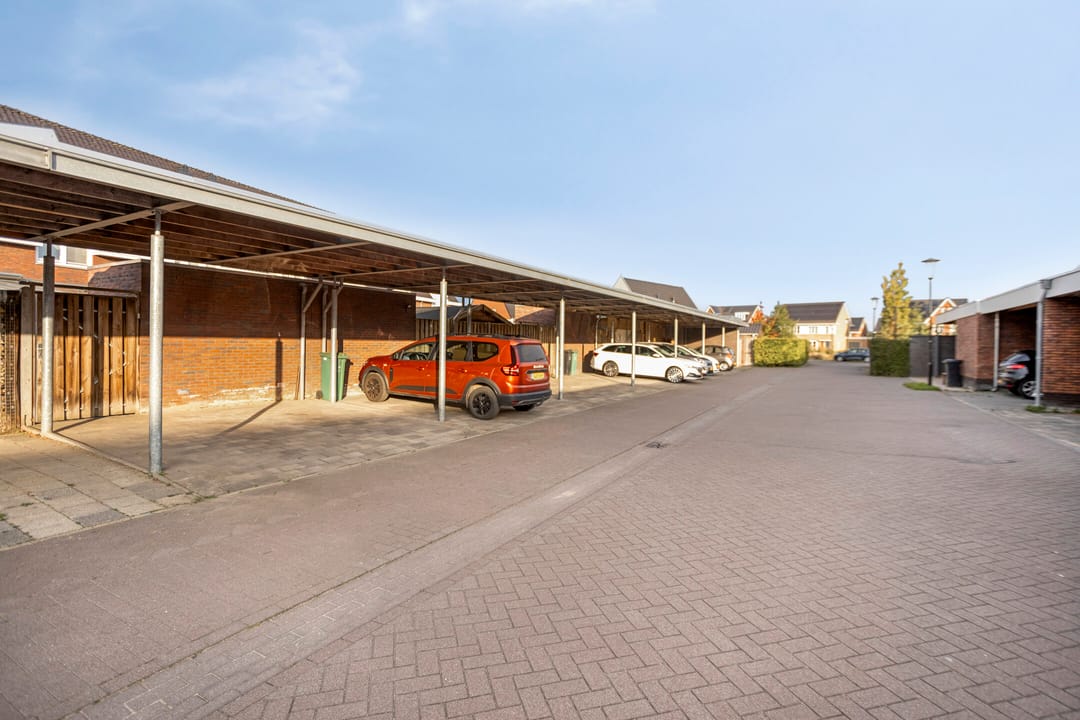 Foto 32 van Olievlas 22