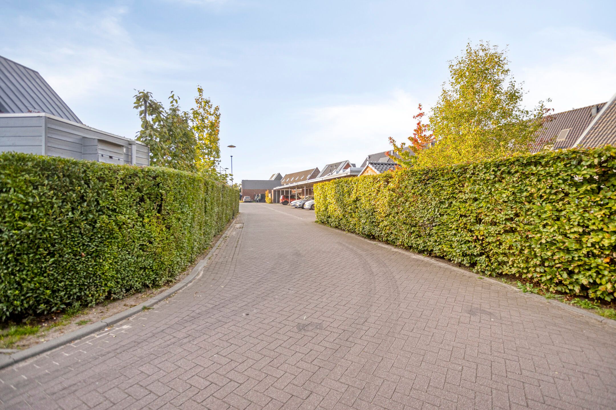 Foto 33 van Olievlas 22