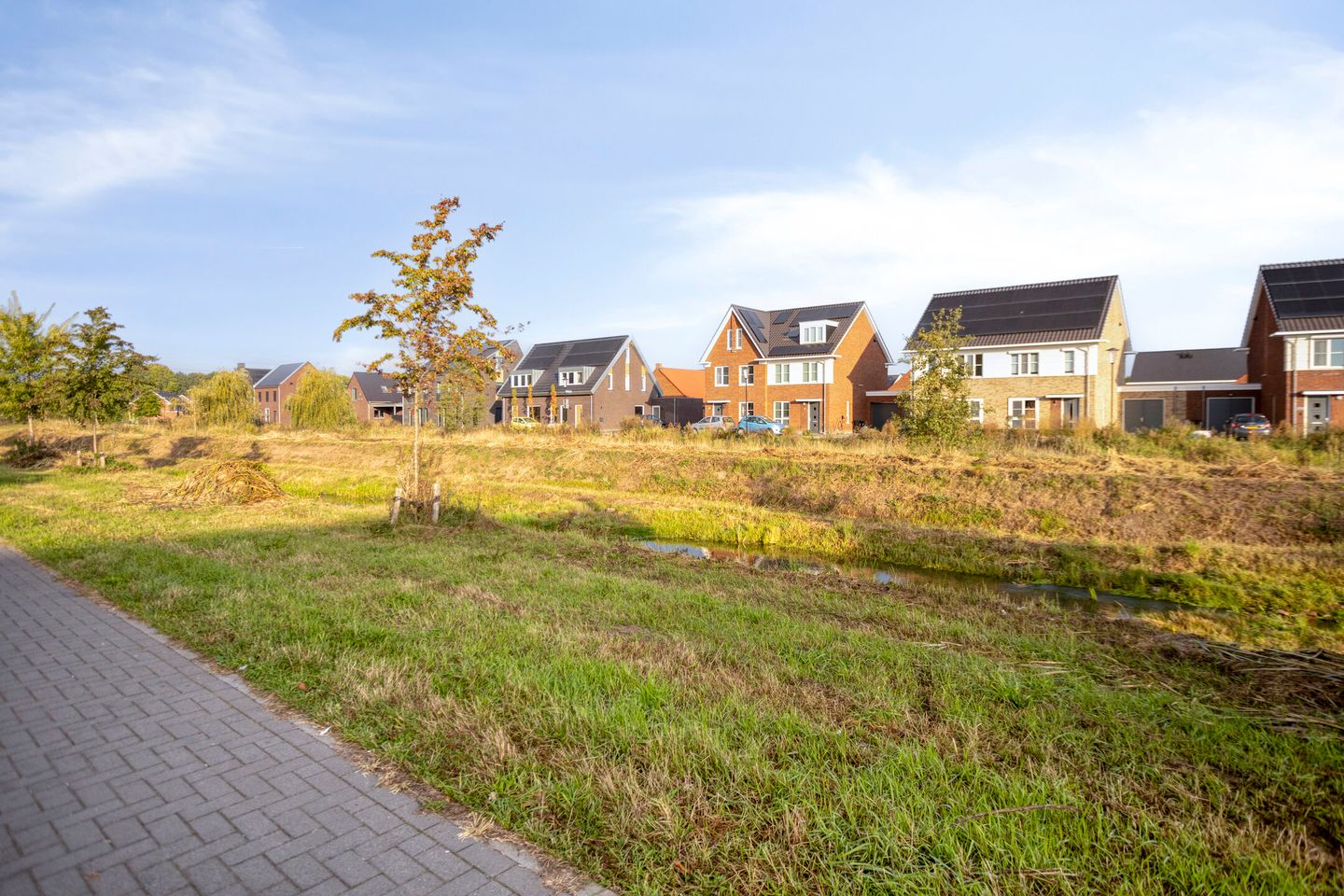 Foto 35 van Olievlas 22