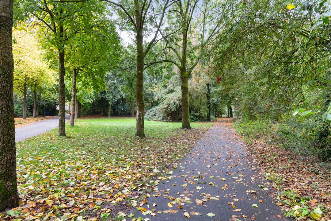 Photo 16 of Nijenbeek 61