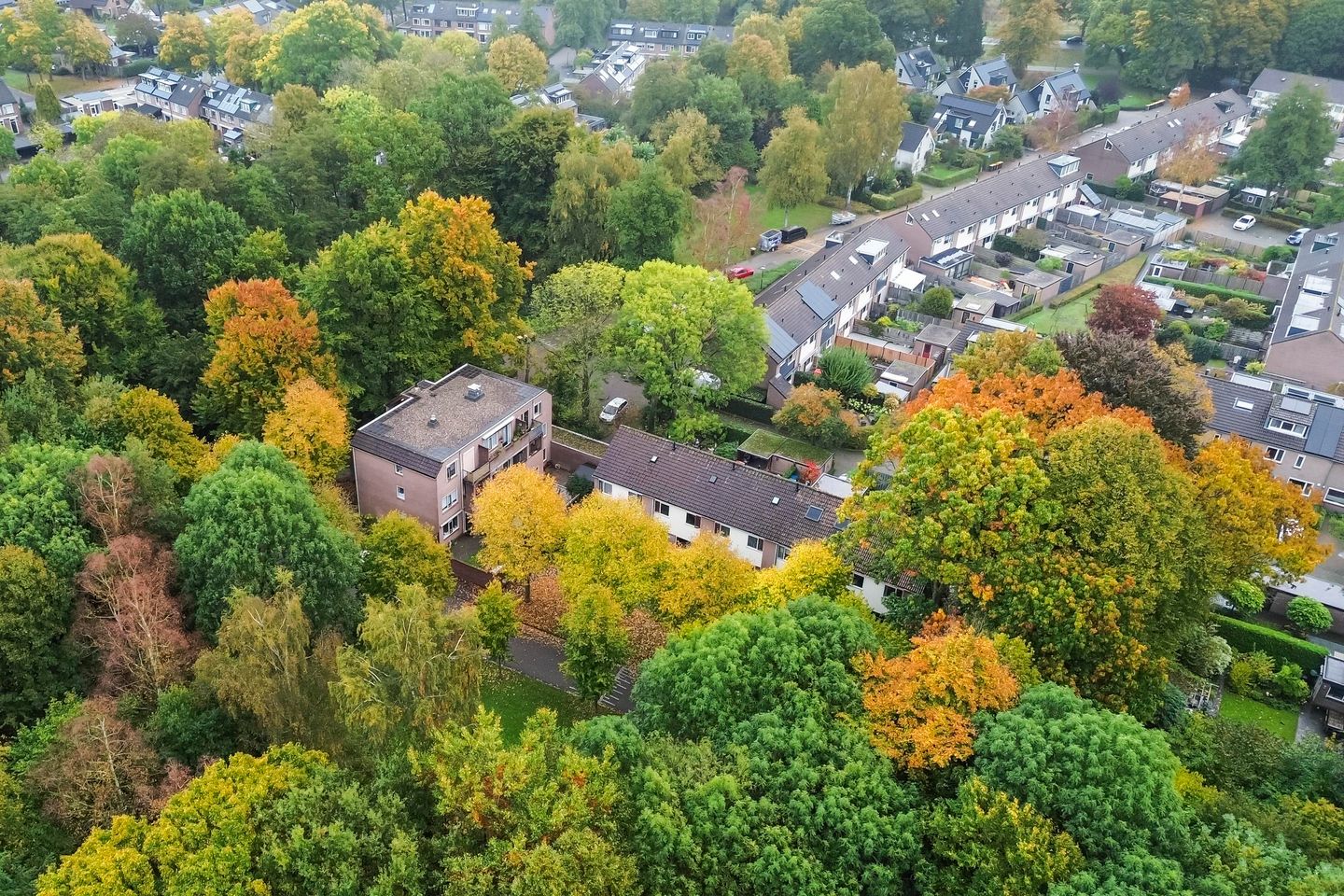 Photo 19 of Nijenbeek 61