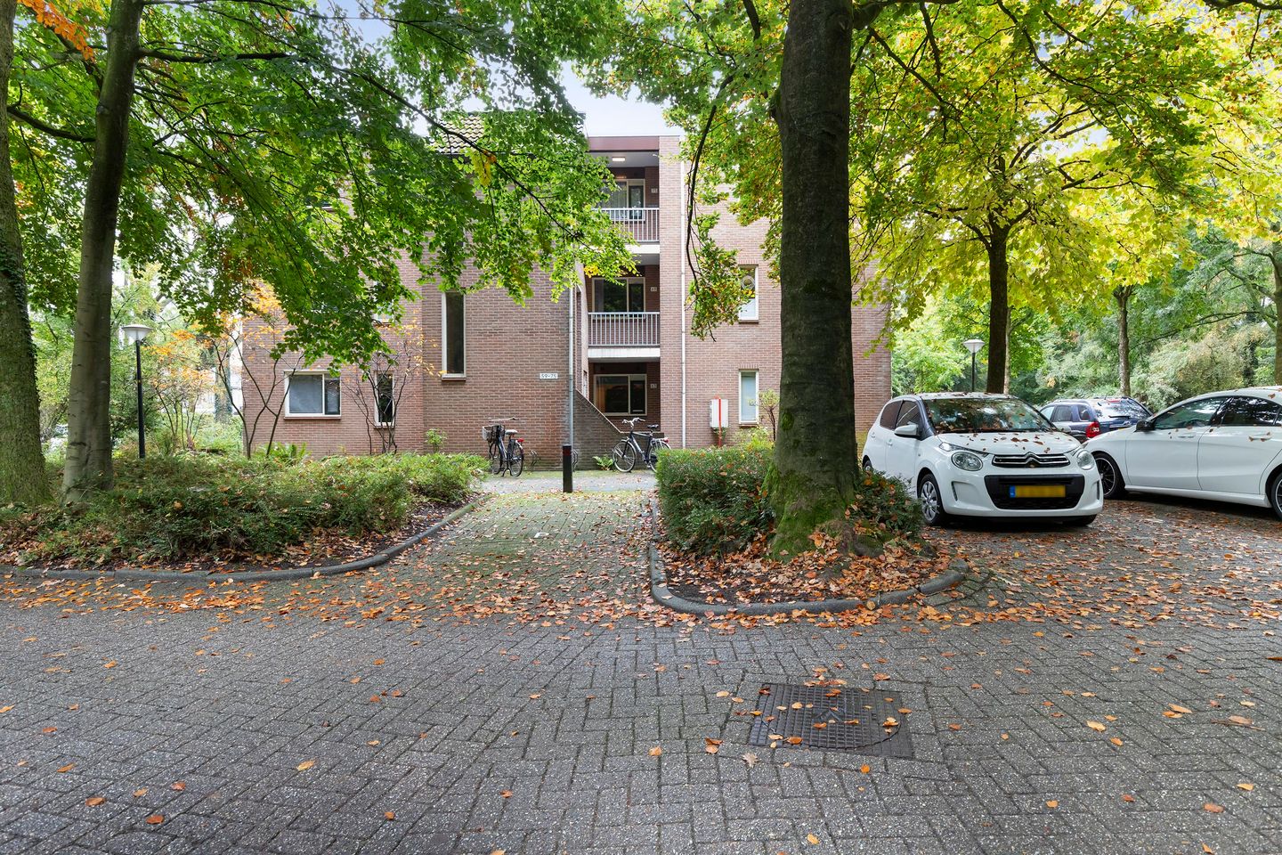 Photo 14 of Nijenbeek 61