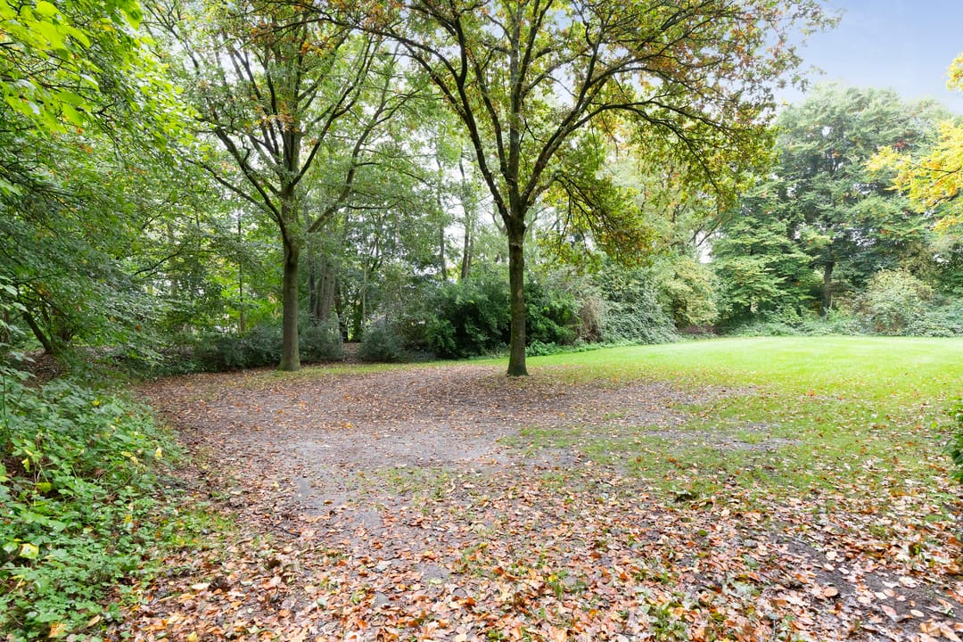 Photo 17 of Nijenbeek 61