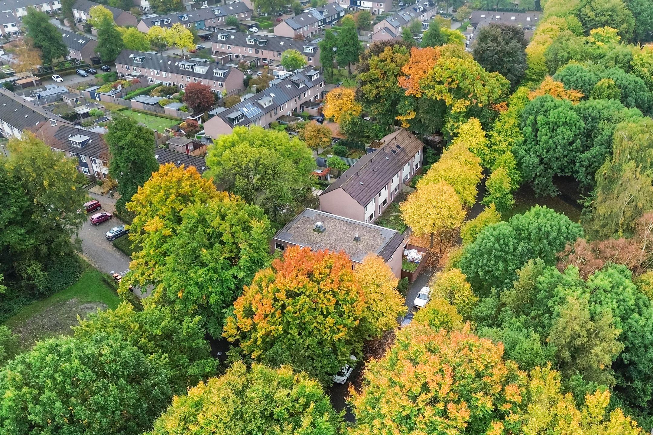 Photo 18 of Nijenbeek 61