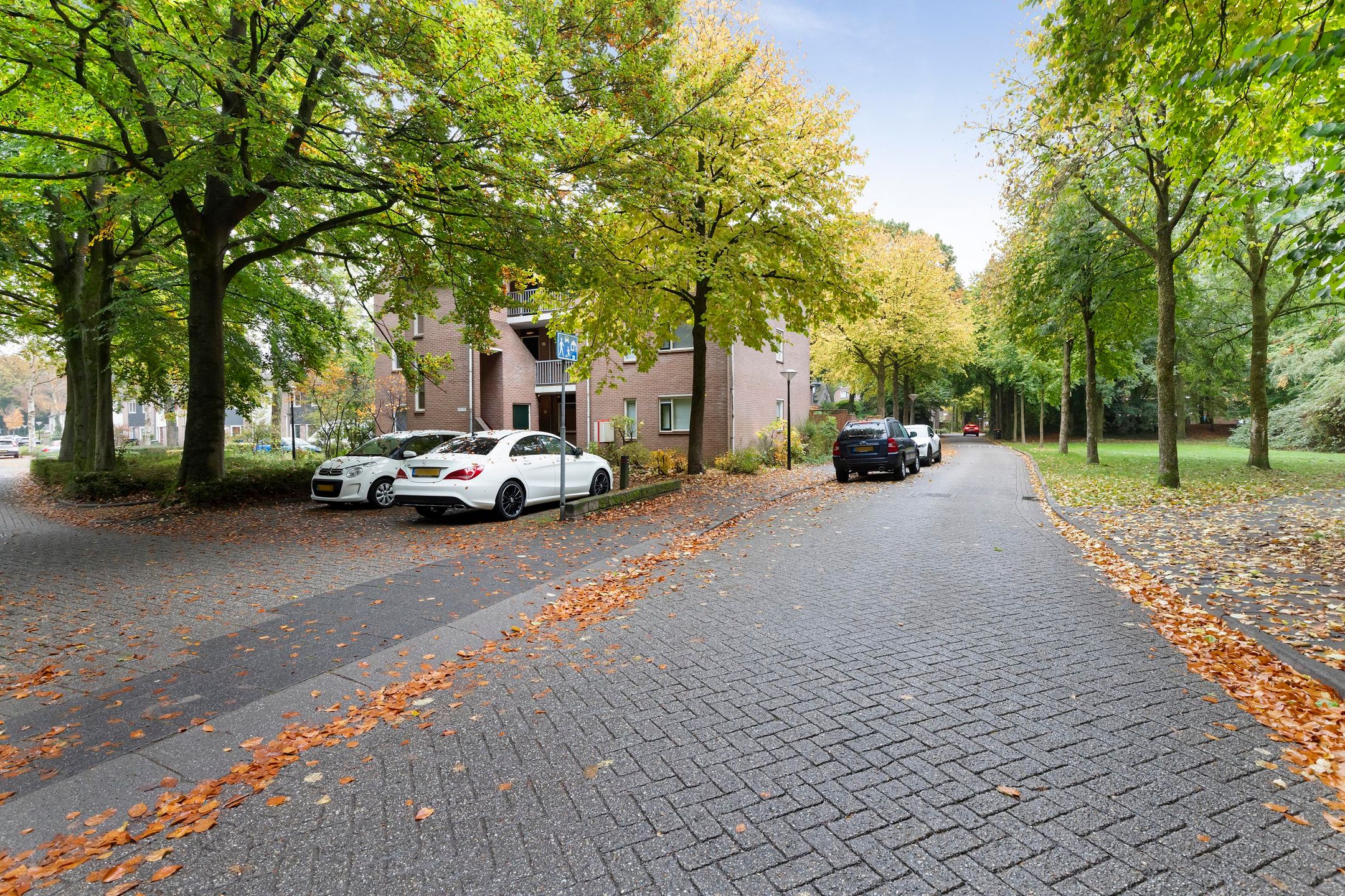 Photo 15 of Nijenbeek 61