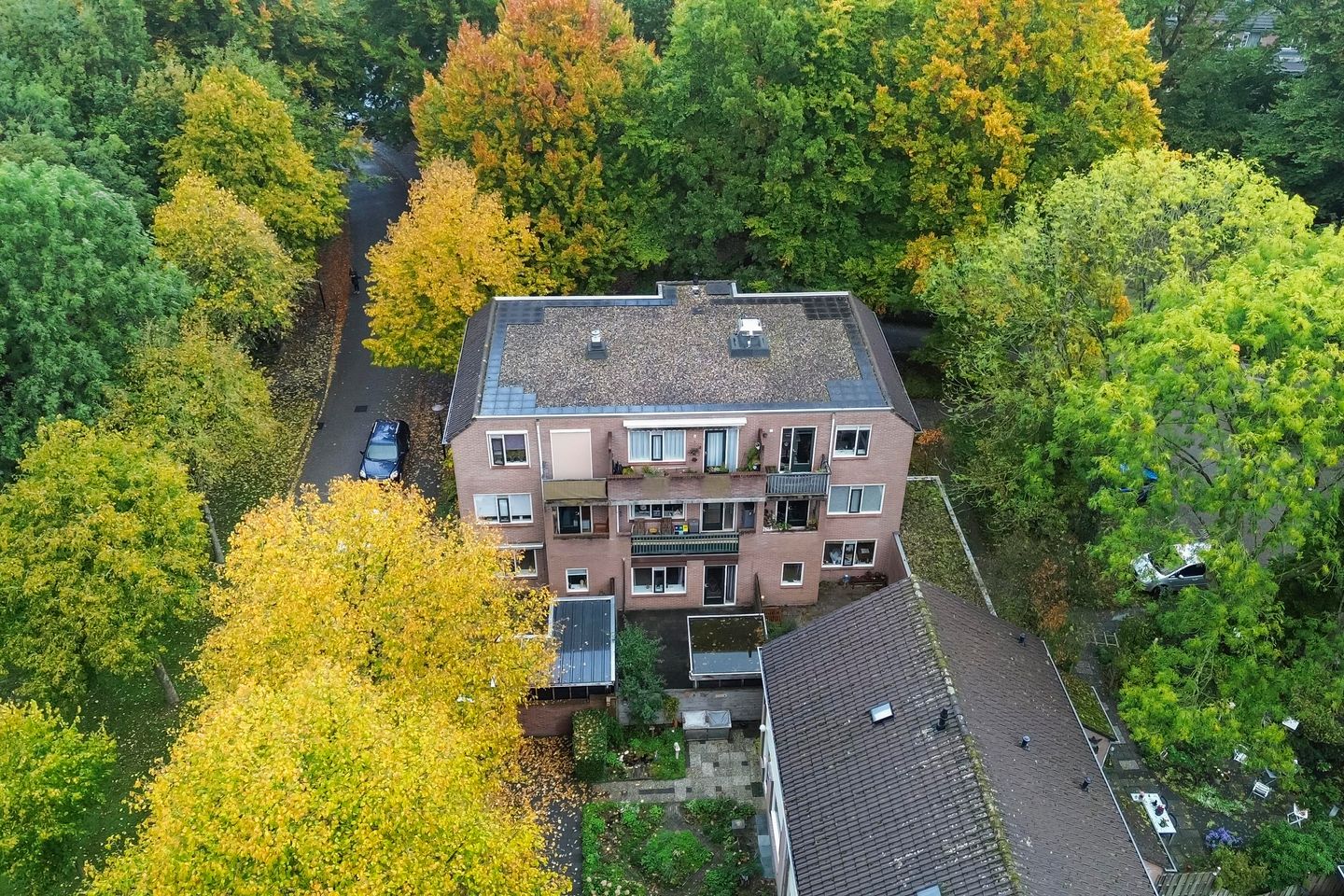 Photo 20 of Nijenbeek 61