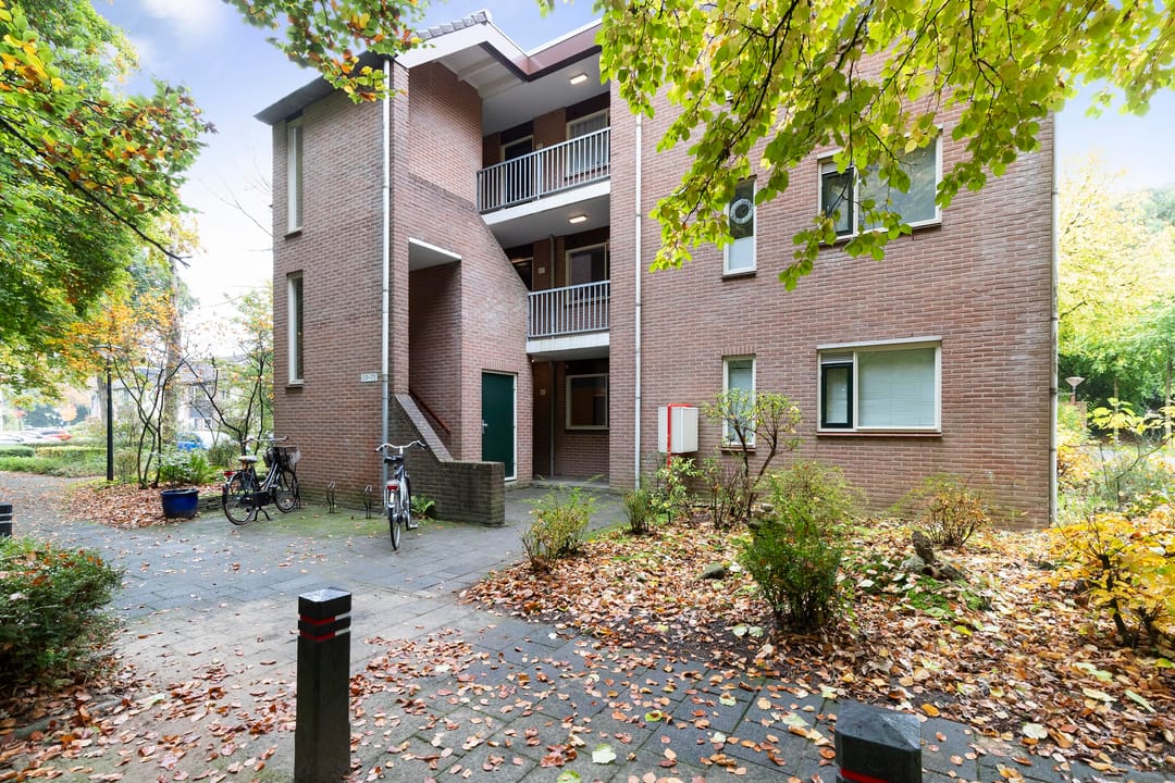 Photo 1 of Nijenbeek 61