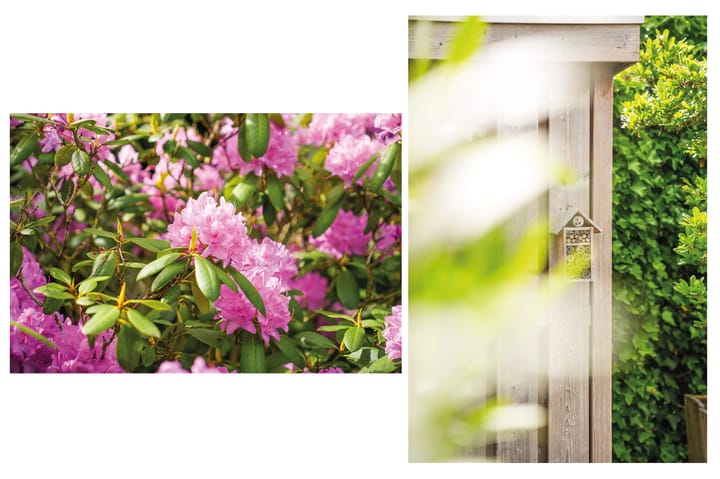 Photo 24 of van der Dussenlaan 32