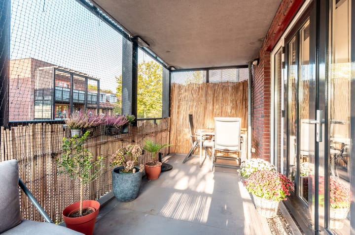 Foto 22 van Pavane 3