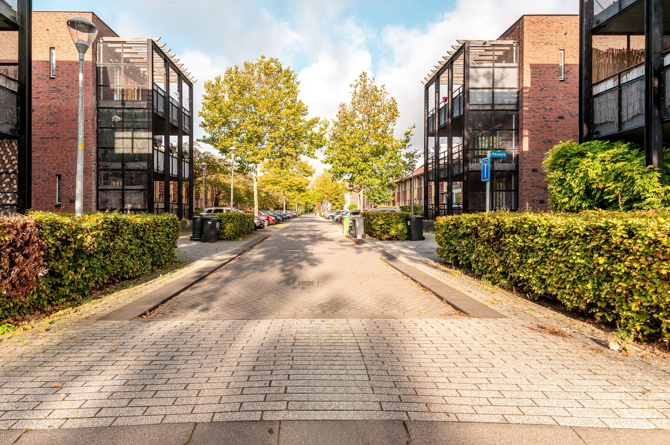 Foto 24 van Pavane 3