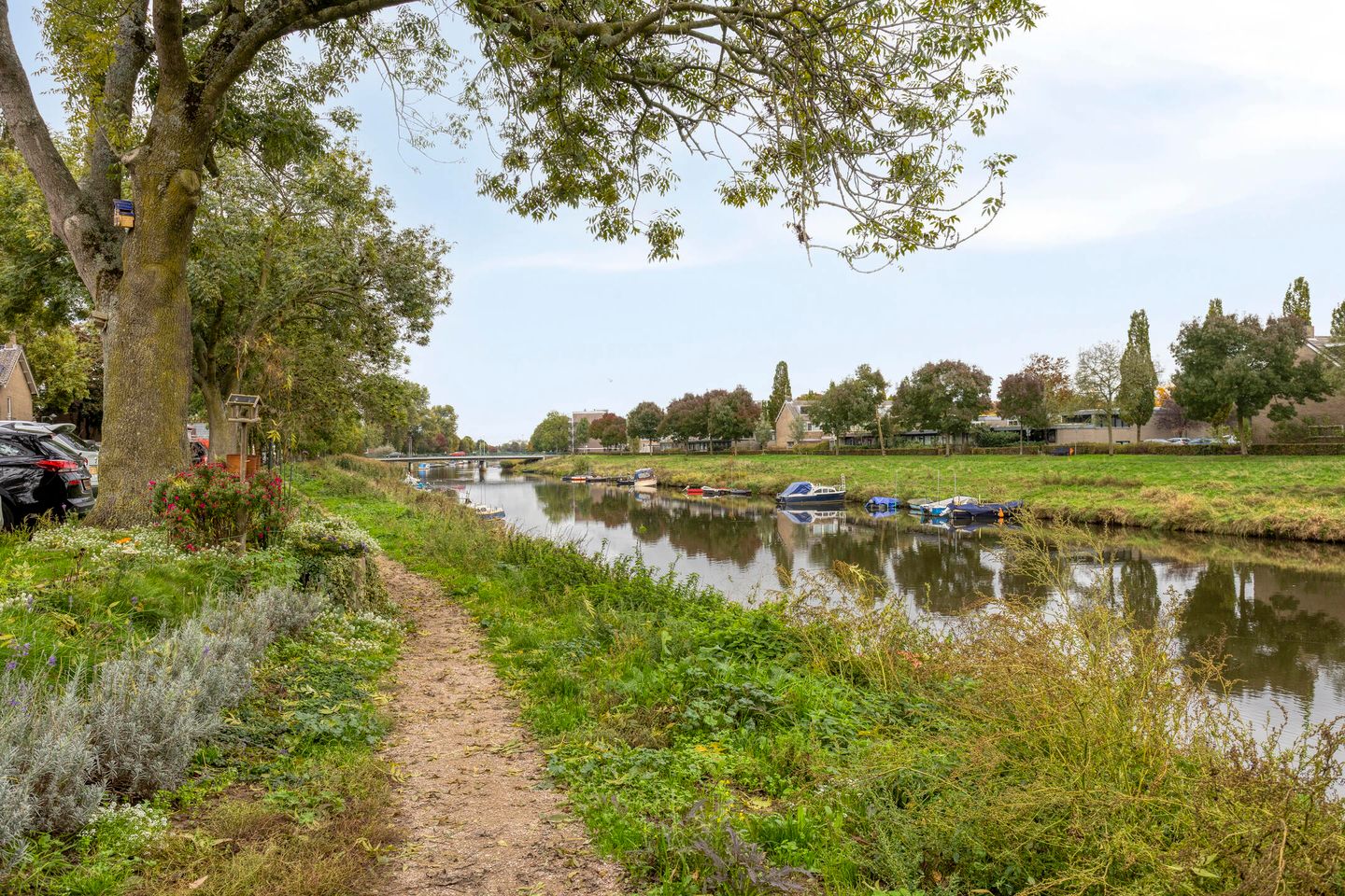 Foto 49 van Acaciasingel 49