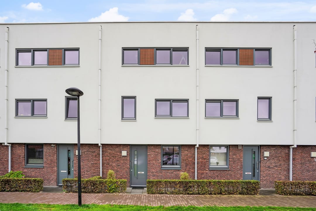 Foto 1 van Muurhagedis 29