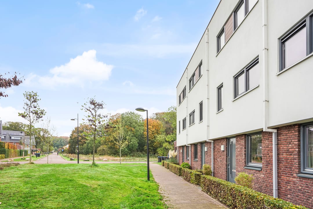 Foto 46 van Muurhagedis 29