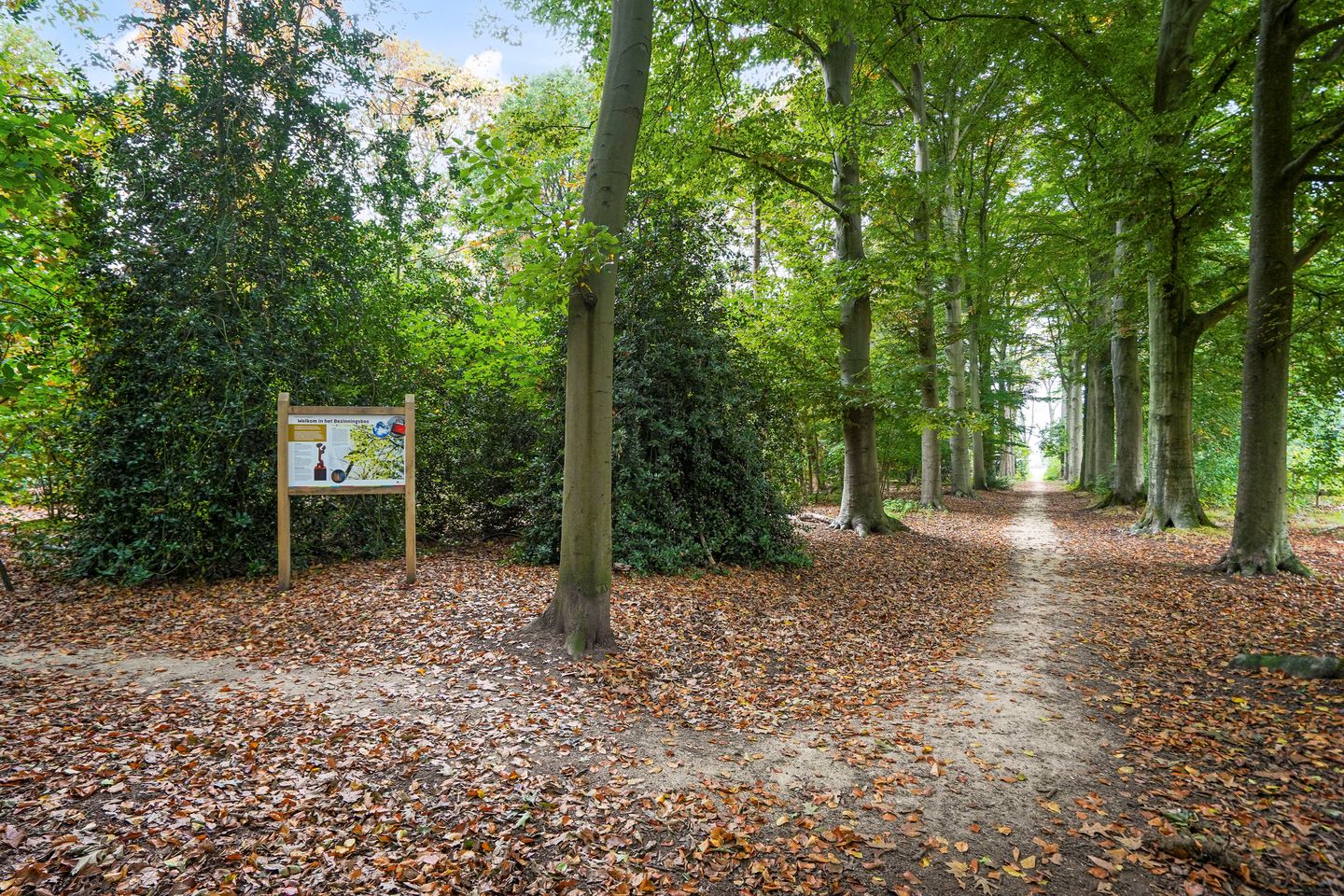 Foto 50 van Muurhagedis 29