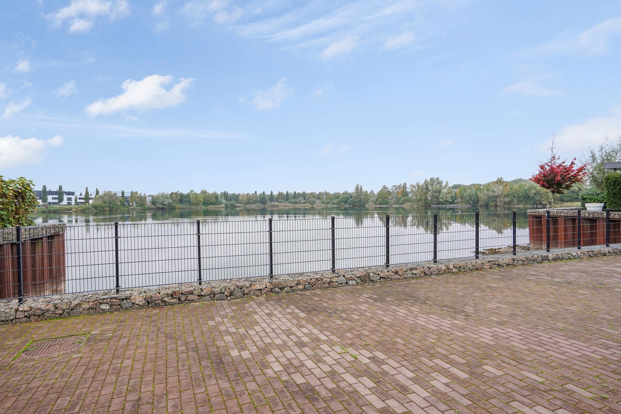 Foto 51 van Muurhagedis 29