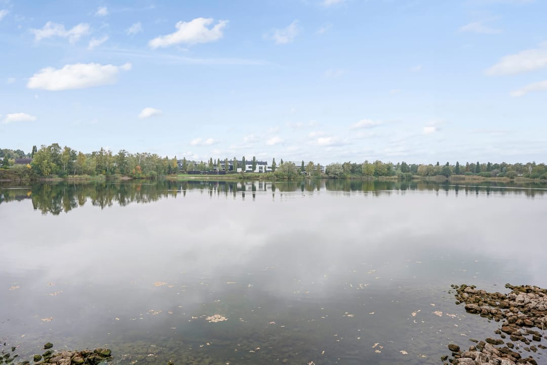 Foto 52 van Muurhagedis 29