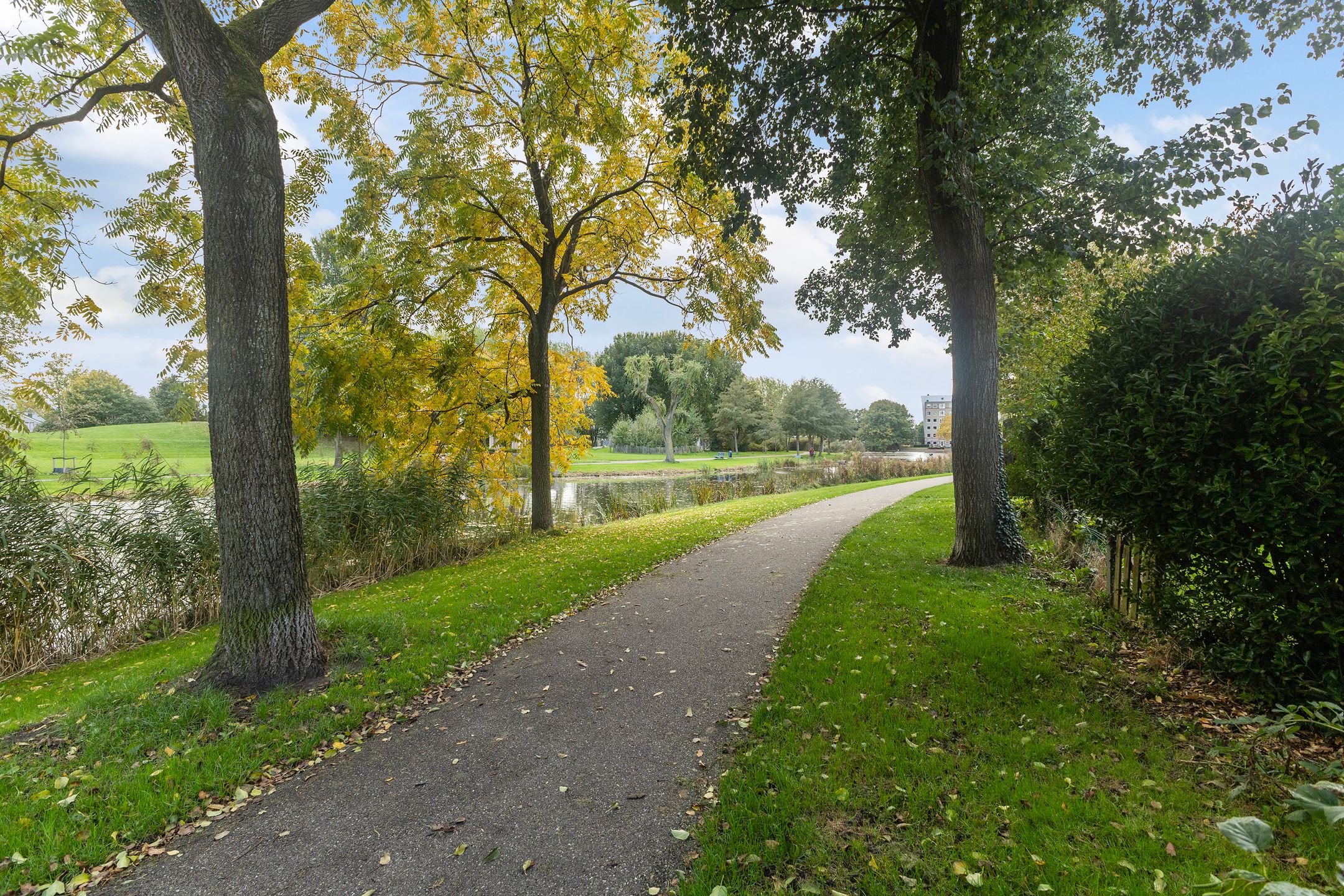 Foto 45 van Roordaburg 34